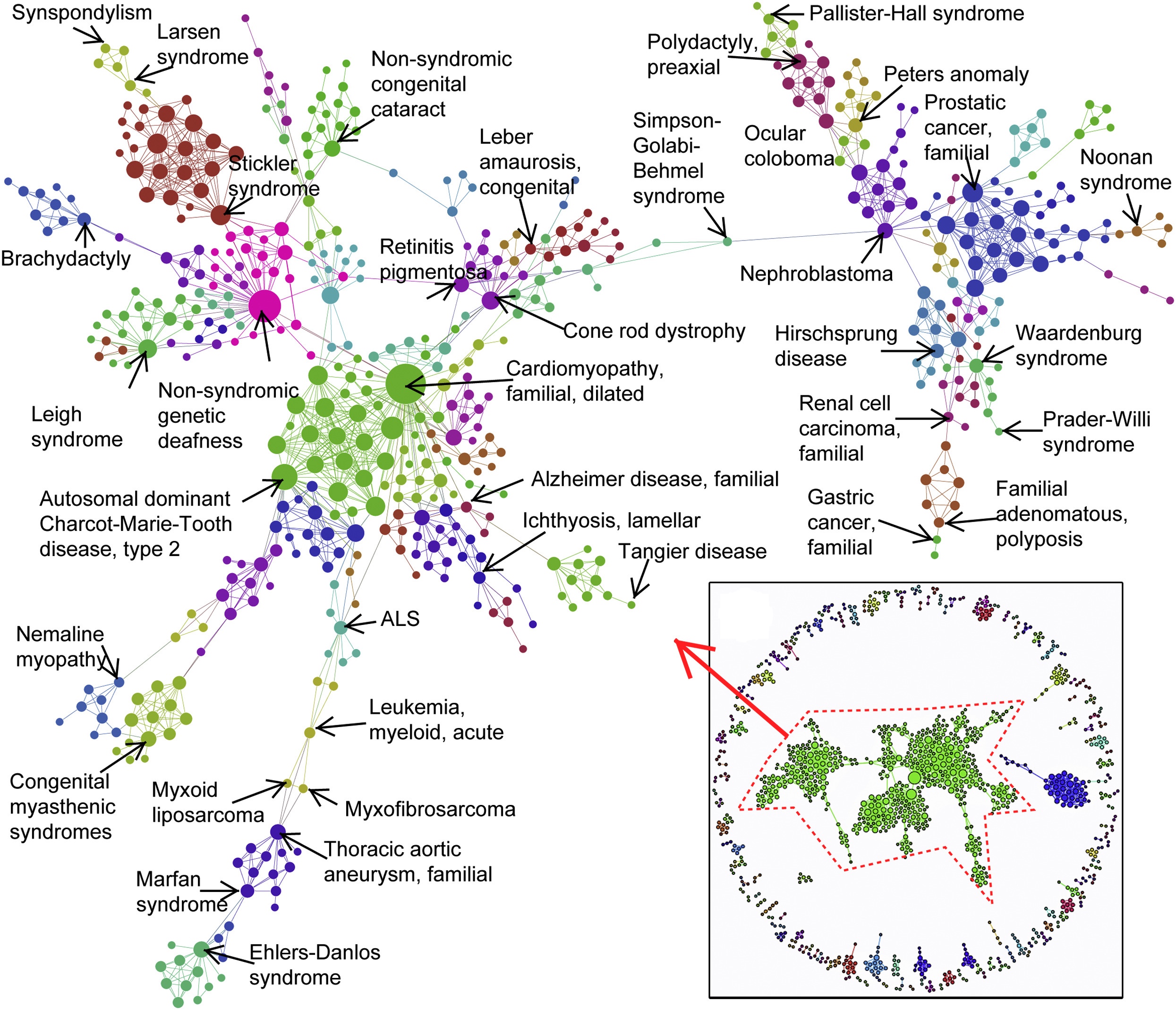 O6-methylguanine-DNA methyltransferase analysis